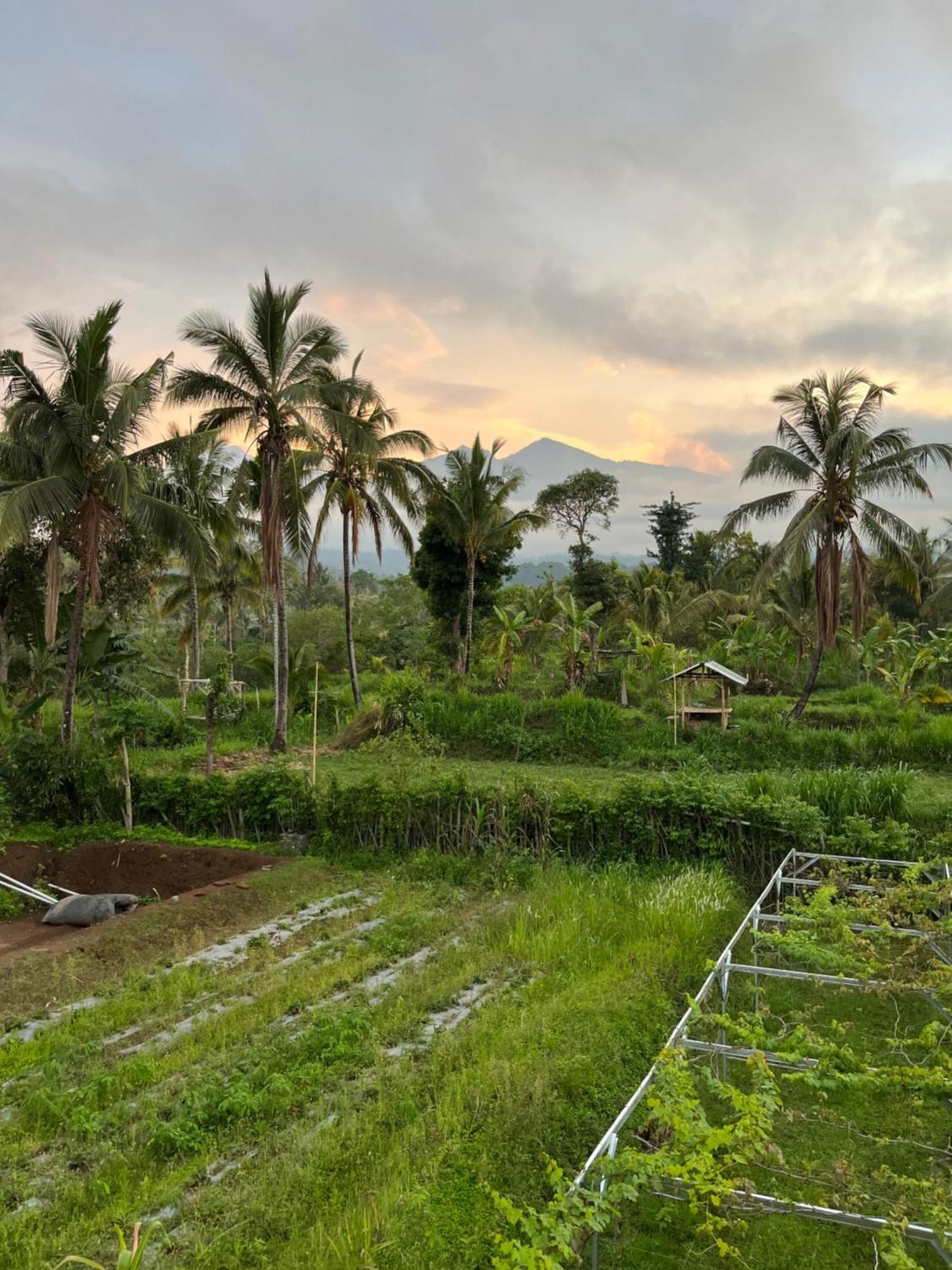 Rinjani Eco Villa Senaru Байан Экстерьер фото