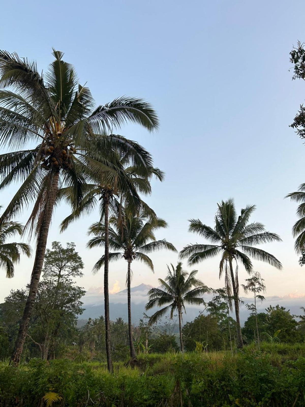 Rinjani Eco Villa Senaru Байан Экстерьер фото