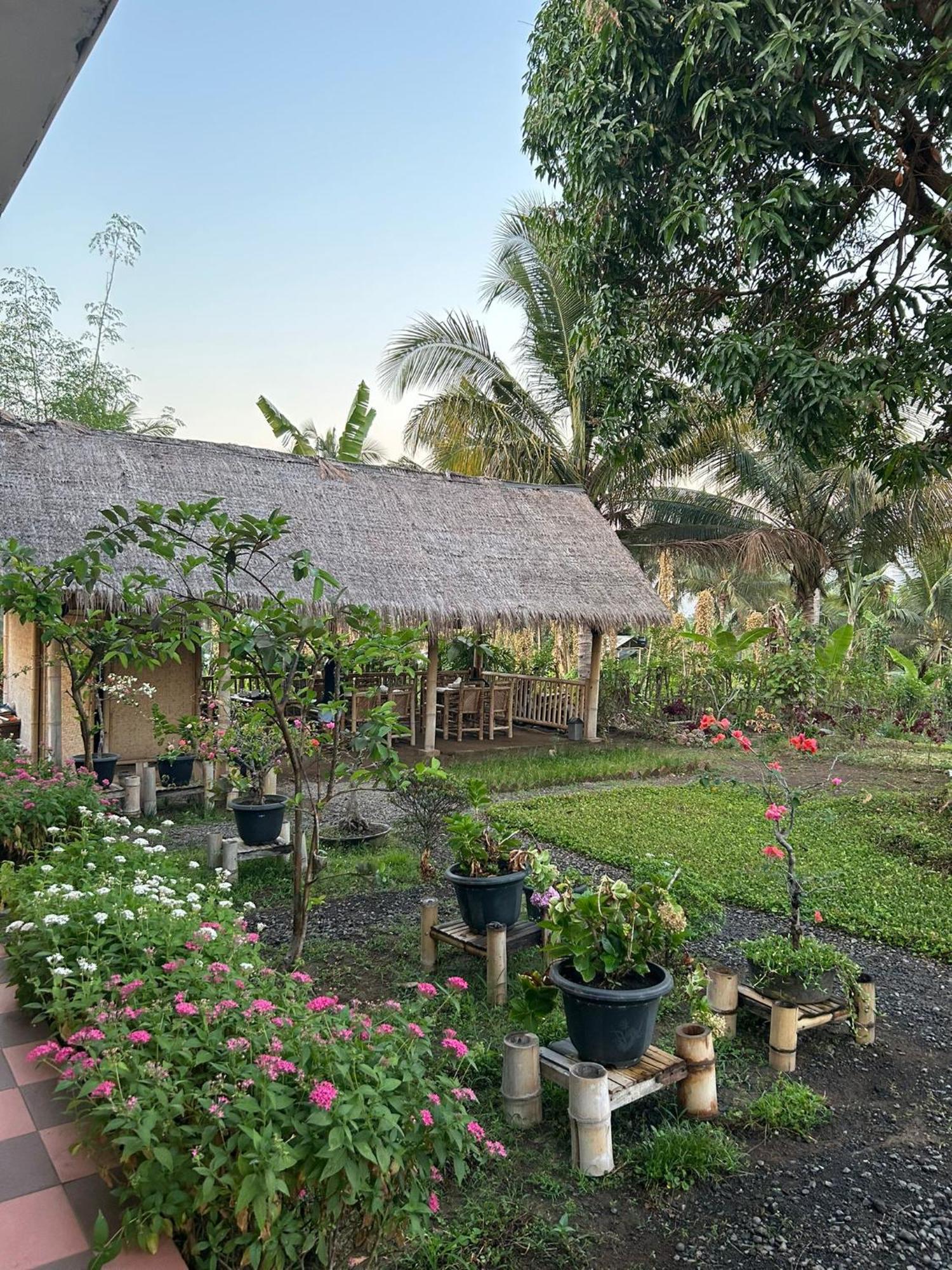 Rinjani Eco Villa Senaru Байан Экстерьер фото
