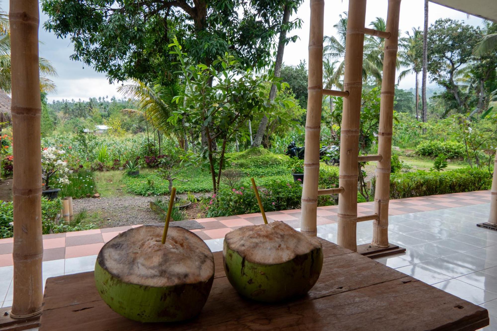 Rinjani Eco Villa Senaru Байан Экстерьер фото